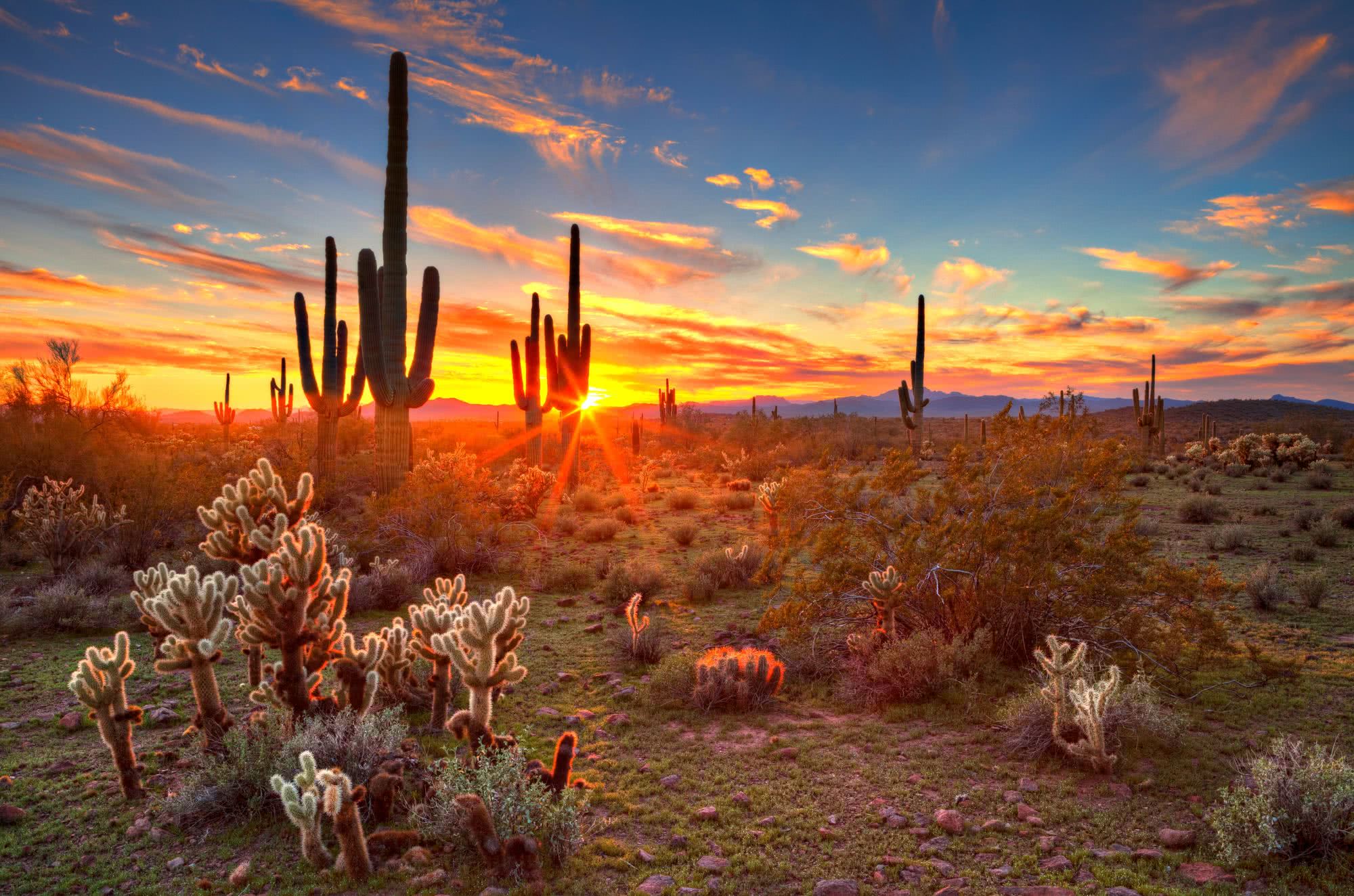 Cleaning Up Your Arizona Criminal Record