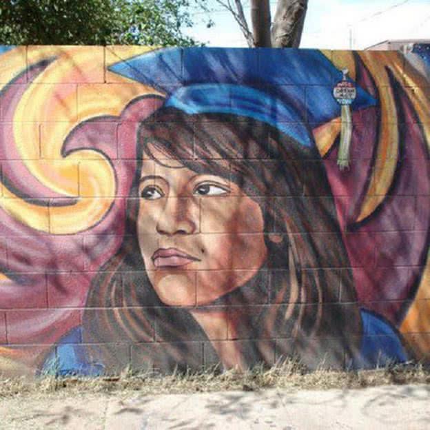 Arizona Court Rules that DACA Students Don’t Qualify for In-state Tuition